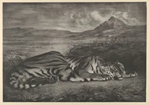 Alert Prints: Royal Tiger, 1829. 1829. Creator: Eugene Delacroix