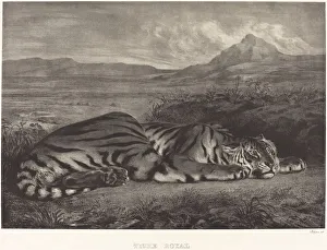Alert Prints: Royal Tiger (Tigre Royal), 1829. Creator: Eugene Delacroix