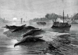 India Asia Prints: The Royal Visit to India: the Ganges