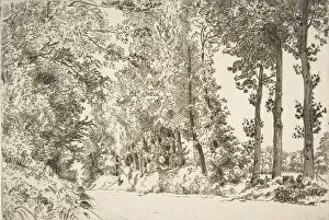 Ile De France Gallery: Rue des Bruyères, àSèvres, 1868. Creator: Felix Bracquemond