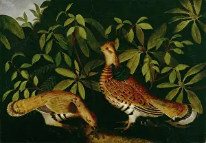 Undergrowth Prints: Two Ruffed Grouse in Underbrush, 1864. Creator: Rubens Peale