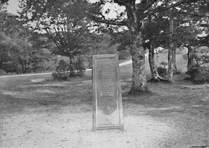 William The Red Prints: Rufus Stone, New Forest, c1896. Artist: Poulton & Co