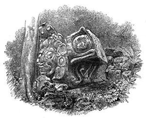 Mesoamerica Prints: The Ruins of Copan, Central America: a head