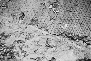 Outpost Prints: Ruins of supposed Spanish mission, Georgia, 1935. Creator: Walker Evans