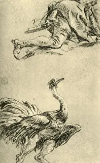 Von Hadeln Prints: A running Ostrich, 1752-1753, (1928). Artist: Giovanni Battista Tiepolo