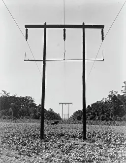 Electrification Prints: Rural electrification in Pulaski County, Arkansas, 1938. Creator: Dorothea Lange