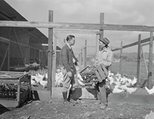 Rural Rehabilitation Administration client with the Rehabilitation Administration... CA, 1936. Creator: Dorothea Lange