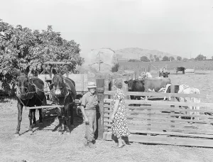 Rural rehabilitation, Tulare County, California, 1938. Creator: Dorothea Lange