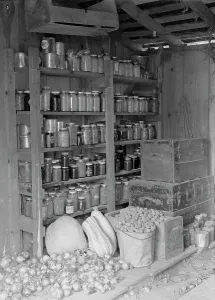 Stores Prints: Rural rehabilitation, Tulare County, California, 1938. Creator: Dorothea Lange