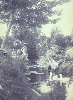 Platinum Prints 1900 Gmgpc Prints: Rural scene with a young boy sitting on a tree stump watching ducks in the stream below