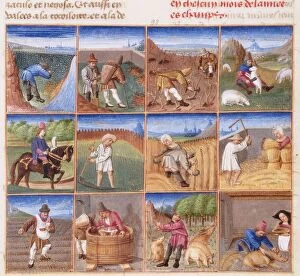 Autumn Collection: Ruralia commoda. Agricultural calendar from a manuscript of Pietro de Crescenzi, ca 1470-1475