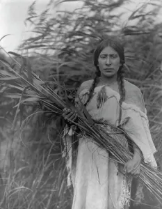 Rush Prints: The rush gatherer, c1908. Creator: Edward Sheriff Curtis