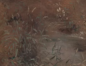 Constable John Gallery: Rushes by a pool, ca. 1821. Creator: John Constable