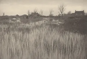 A Rushy Shore, 1886. Creator: Dr Peter Henry Emerson