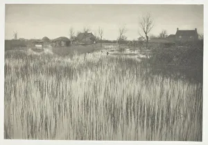 Edition Of 200 Prints: A Rushy Shore, 1886. Creator: Peter Henry Emerson