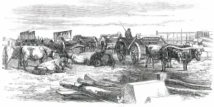 Carts Prints: Russian Bullock Carts, 1850. Creator: Unknown