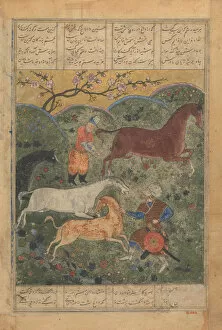 Rustam Captures the Horse Rakhsh, Folio from a Shahnama (Book of Kings)