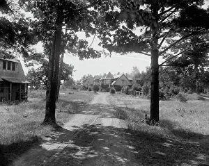 Tourist Prints: Rustic cottages at Harbor Beach, c1900. Creator: Unknown