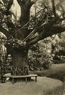 Rustic Treatment. - Summer House in a Tree, an ideal Tea House, 1920. Creator: Unknown Rustic Treatment. - Summer House in a Tree, an ideal Tea House, 1920. Creator: Unknown
