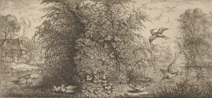 Snipe Prints: Rusticula minor, Beccassine (The Snipe): Livre d Oyseaux (Book of Birds), 1655-1660