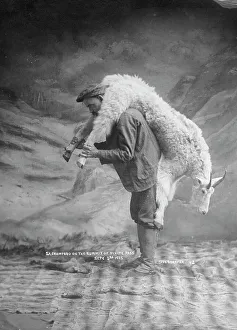 British Columbia Prints: S.A. Crawford carrying a goat, 1905