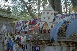 Sacred bo-tree at Anuradhapura in Sri Lanka
