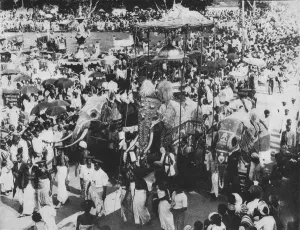 Kandy Prints: Sacred Elephant in the Perahera Procession