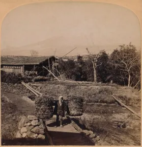 The Sacred Fujiyama, Highest Mountain in Japan, 1896