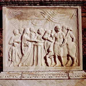 Oxen Prints: Sacrifice of an ox, Temple of Vespasian, Pompeii, Italy, 1st century