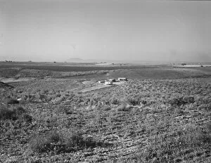 Sage bush, hay field, farmstead, cattle in pasture, Nyssa Heights, Malheur County, Oregon, 1939. Creator: Dorothea Lange
