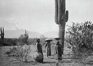 Basket Collection: Saguaro fruit gatherers-Maricopa, c1907. Creator: Edward Sheriff Curtis