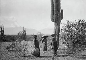 Fruit Picking Prints: Saguaro fruit gatherers-Maricopa, c1907. Creator: Edward Sheriff Curtis