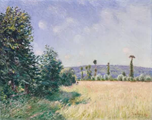 Meadow Gallery: Sahurs Meadows in Morning Sun, 1894. Creator: Alfred Sisley