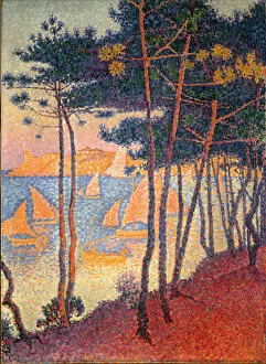 South France Gallery: Sails and pines. Artist: Signac, Paul (1863-1935)