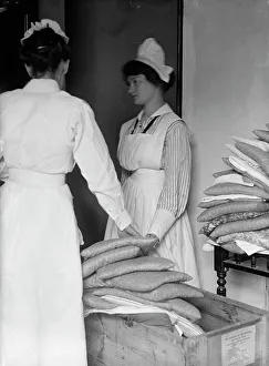 Cushions Prints: Saint Elizabeth's Hospital - White