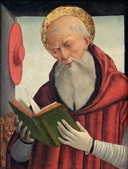 Anchorite Collection: Saint Jerome reading, c. 1490