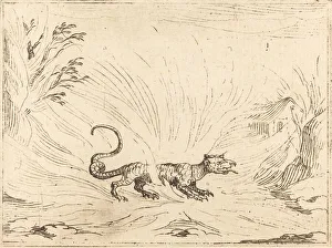 Salamander Surrounded by Flames. Creator: Jacques Callot