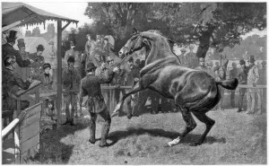 Sale Prints: Sale of Hunters Raising and objection, 1885