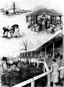 Sale of shire horses at the Prince of Wales's Stud-Farm, Wolferton, 1898. Creator: Unknown.<br> Sale of shire horses at the Prince of Wales's Stud-Farm, Wolferton, 1898