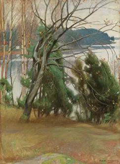 Halonen Pekka Prints: Sallow in Autumn, 1907. Creator: Pekka Halonen