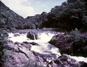 Fishes Prints: Salmon leap at Cenarth, Carmarthen, c1955. Creator: Arthur Charles Kirby Ware