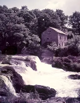 Fishes Prints: Salmon leap at Cenarth, Carmarthen, c1955. Creator: Arthur Charles Kirby Ware