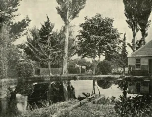 Tasmania Gallery: The Salmon Ponds, New Norfolk, 1901. Creator: Unknown