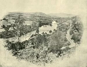 Tasmania Gallery: The Salmon Ponds Road, 1901. Creator: Unknown