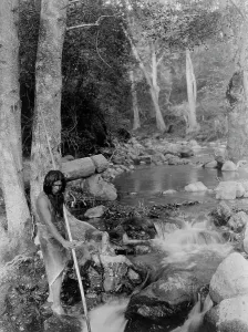 Ray Finned Fish Prints: The salmon stream, c1923. Creator: Edward Sheriff Curtis