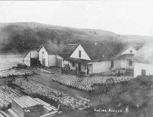 Nome Alaska United States Prints: Salmon works, between c1900 and c1930. Creator: Unknown