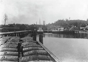 Barrels Collection: Salmon works, between c1900 and c1930. Creator: Unknown