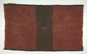 Post Contact Prints: Saltillo Style Blanket / Sarape, c. 1870. Creator: Unknown
