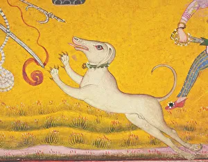 Basohli Prints: Saluki dog in Battling Elephants (image 5 of 6), c1700. Creator: Unknown