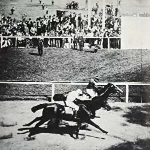 Brooklyn Collection: Salvator beats Tenny by a throat latch, Sheepshead Bay Race Track, New York, USA, 1890
